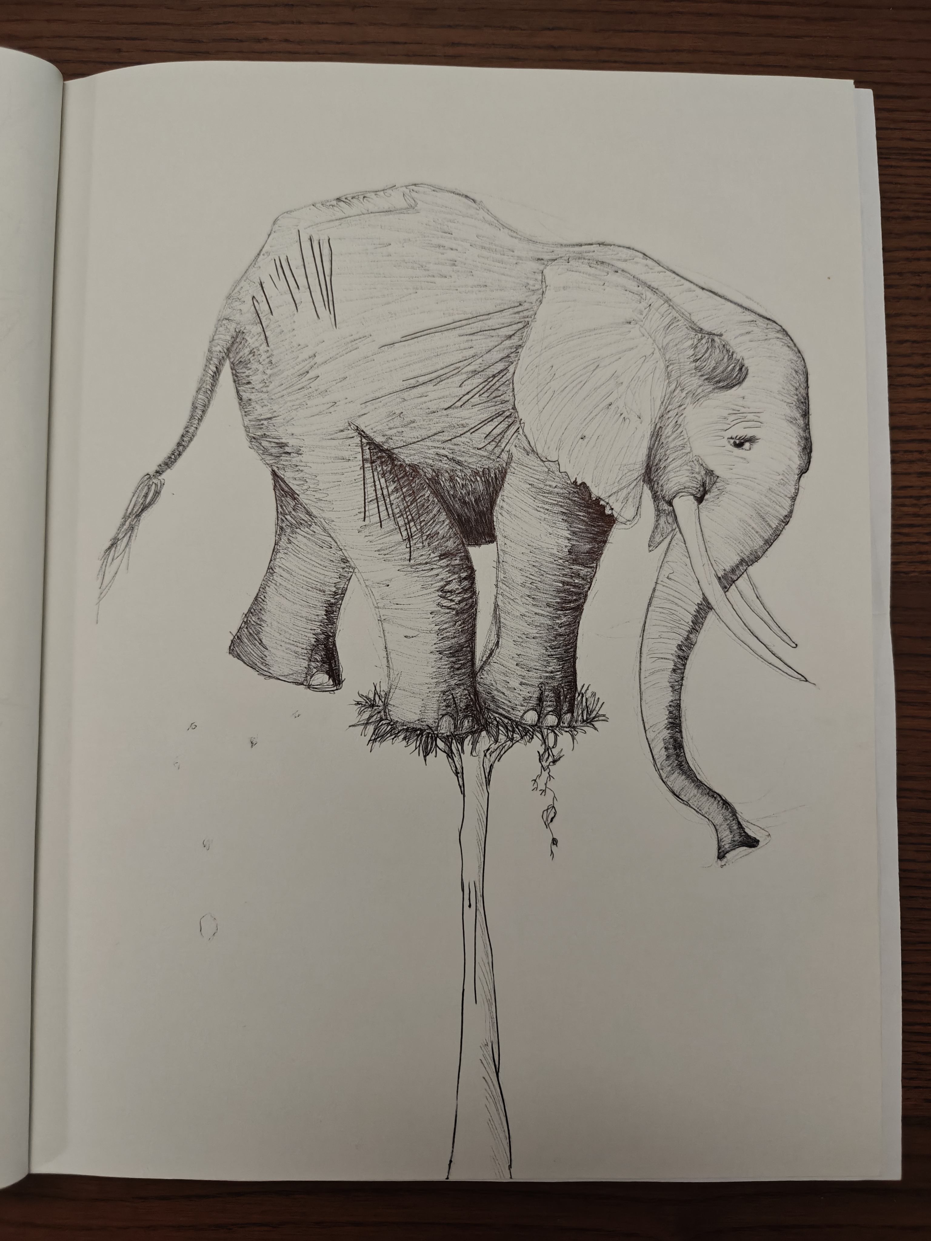ballpoint pen
